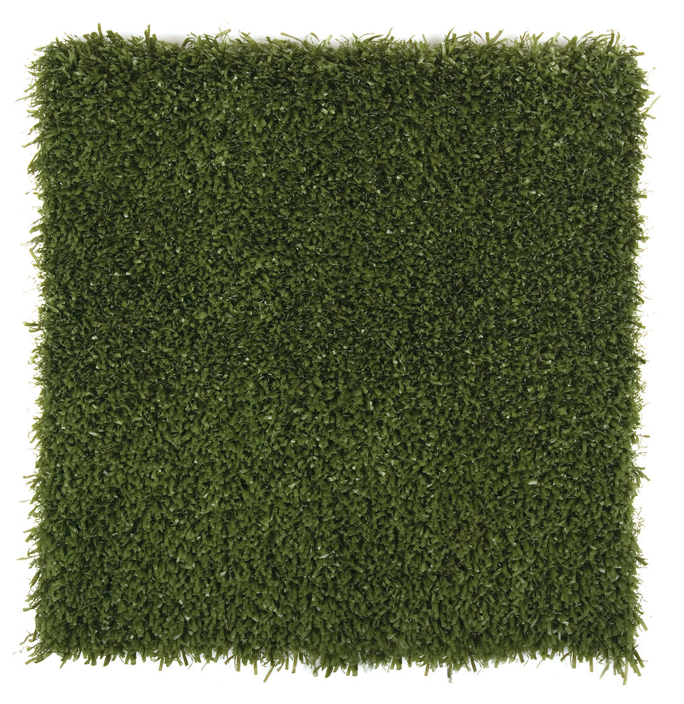 k9grass-classic_50698652778_o.jpg