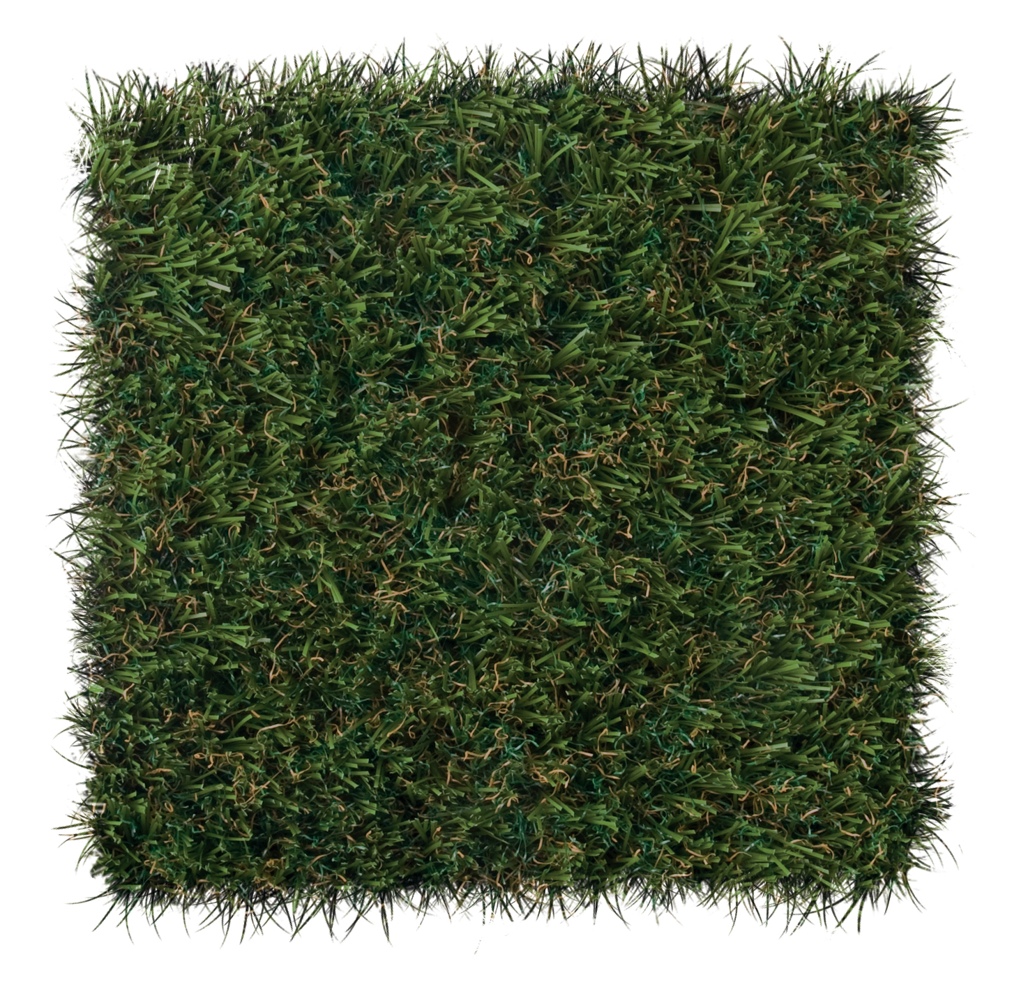 foreverlawn-select-lx_6918530847_o.jpg