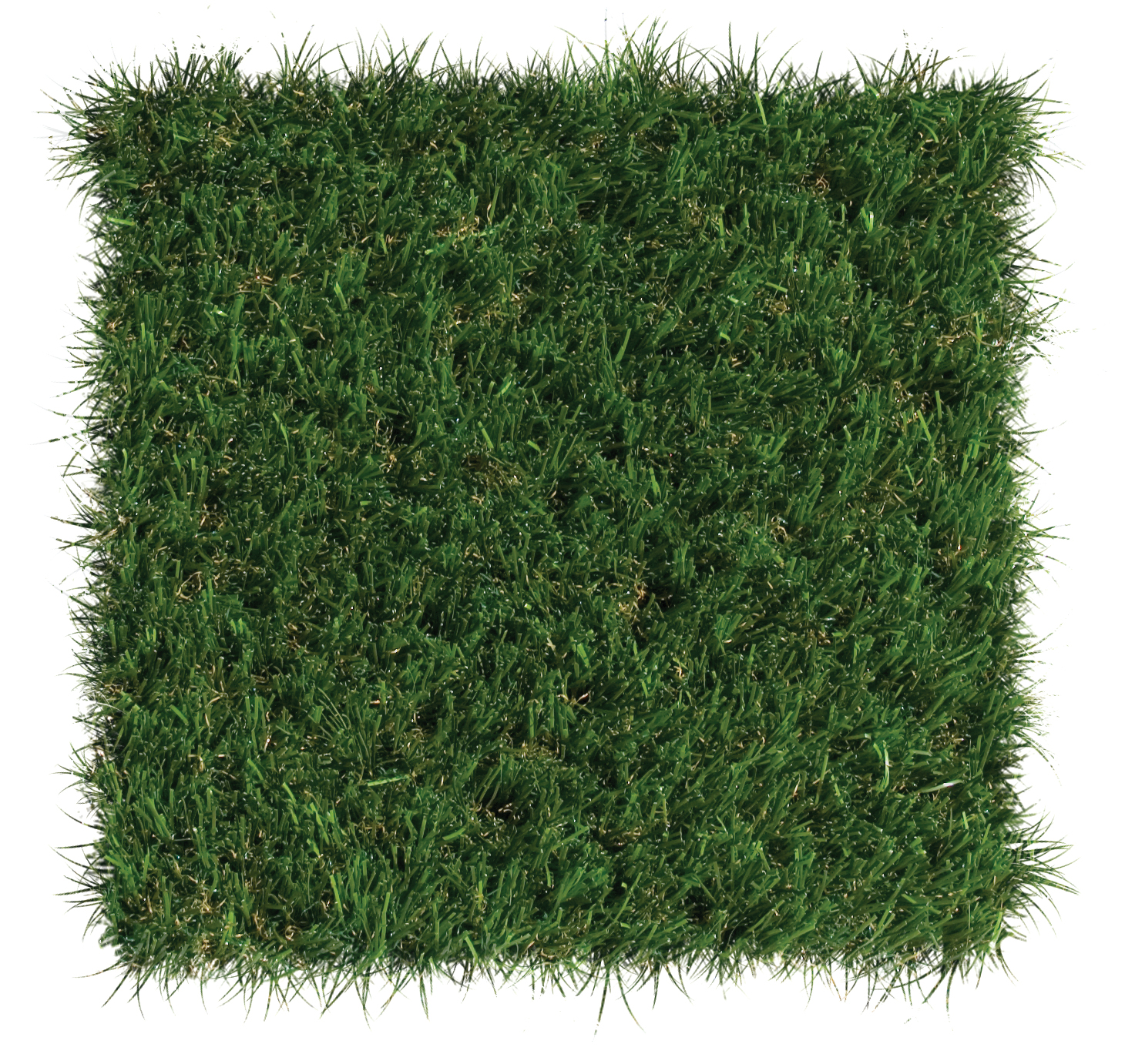 foreverlawn-select-vr_6918531921_o.jpg