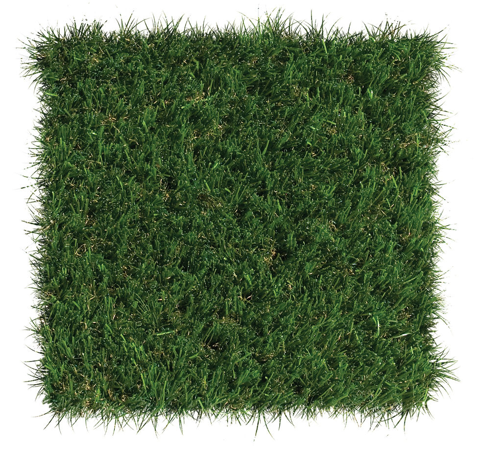 foreverlawn-select-vr_6918531921_o.jpg