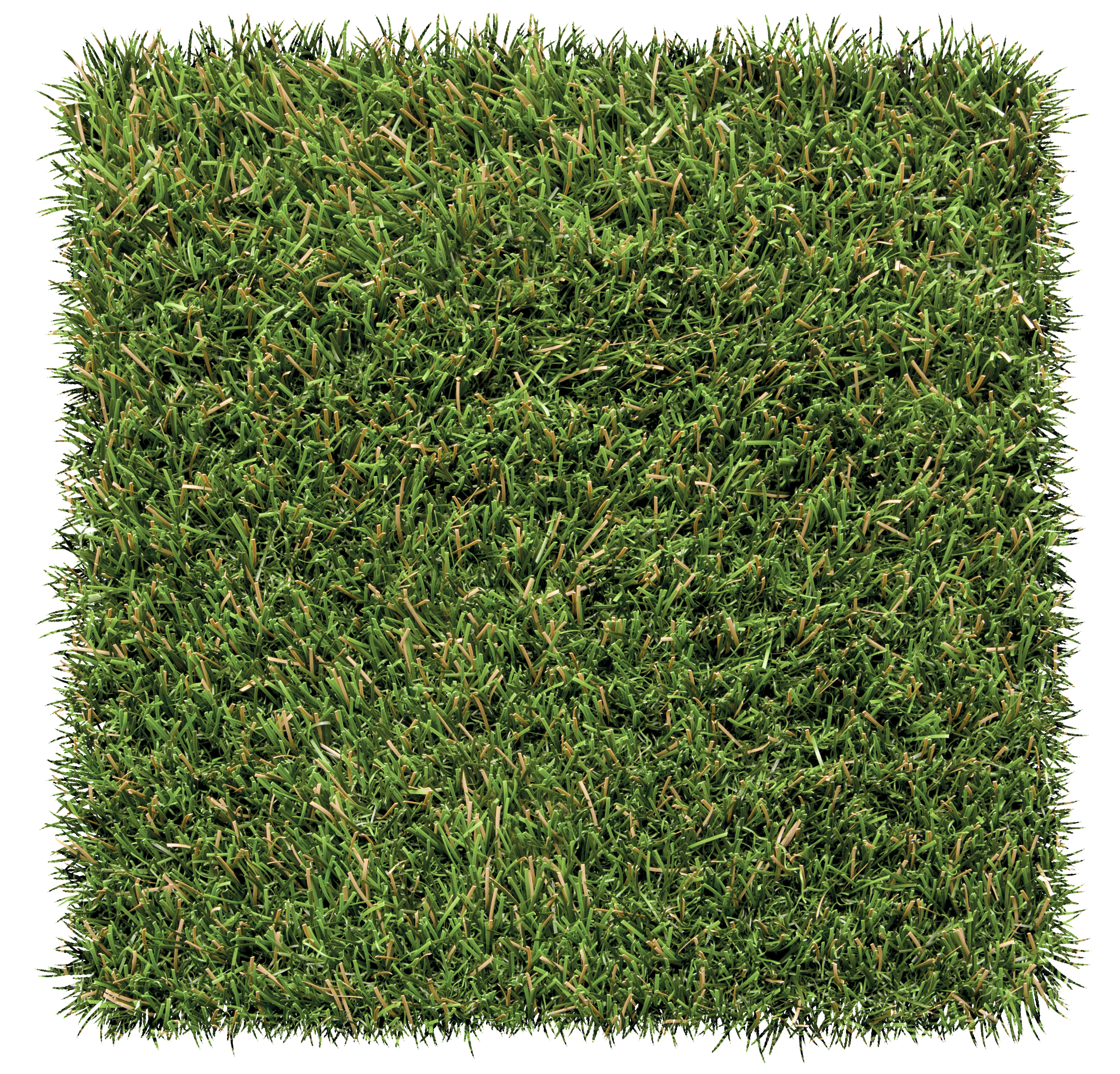 foreverlawn-fusion-elite_50665159081_o.jpg