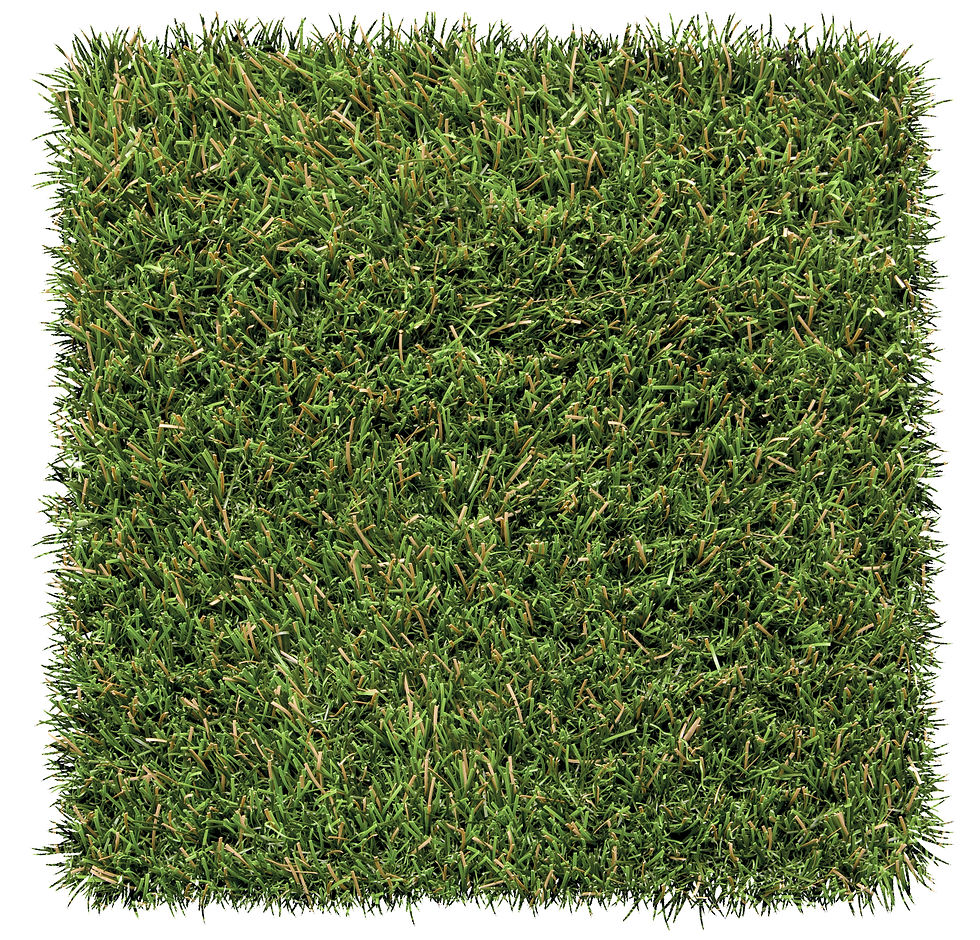 foreverlawn-fusion-elite_50665159081_o.jpg