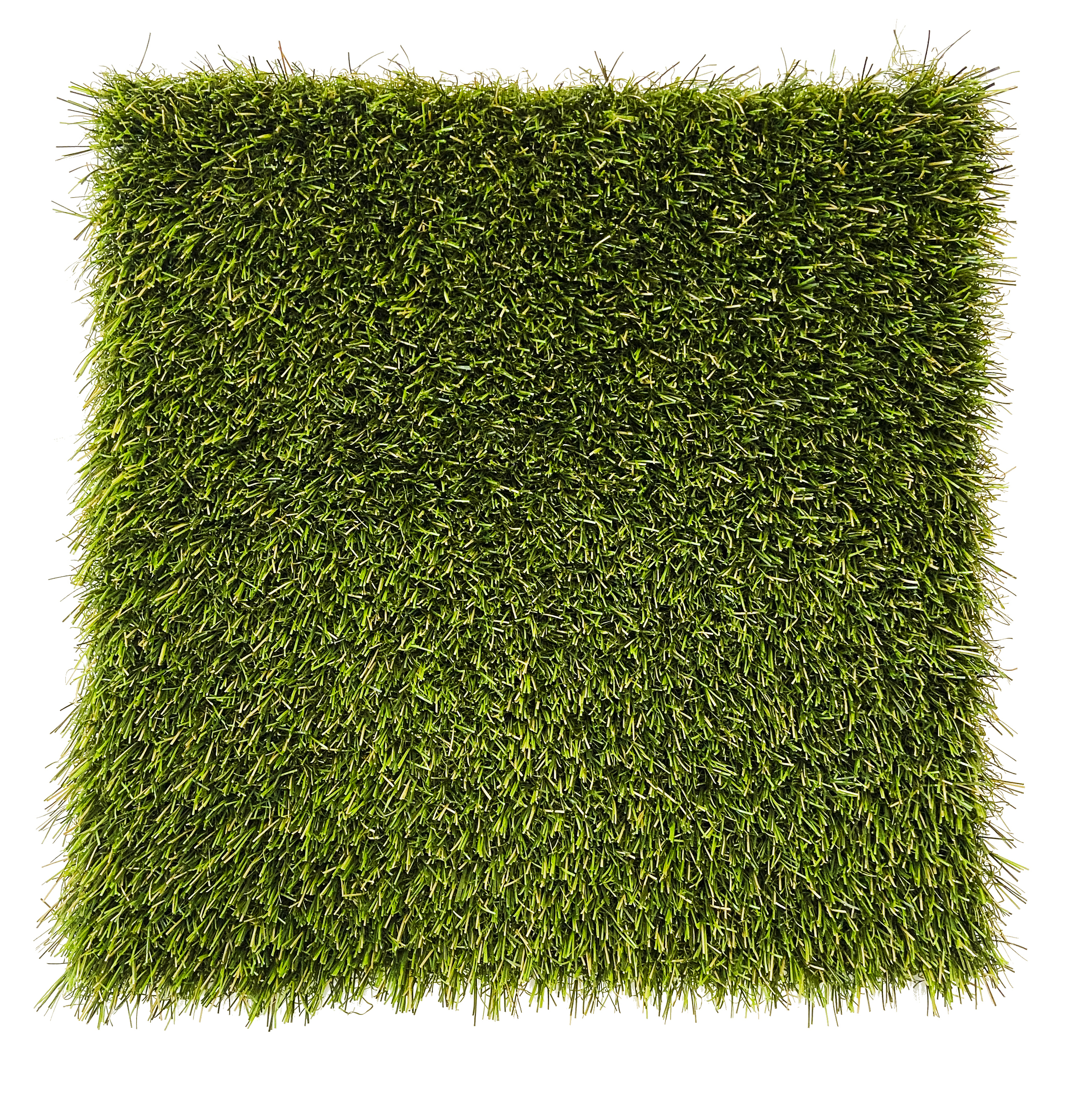 k9grass-elite_52306377753_o.jpg