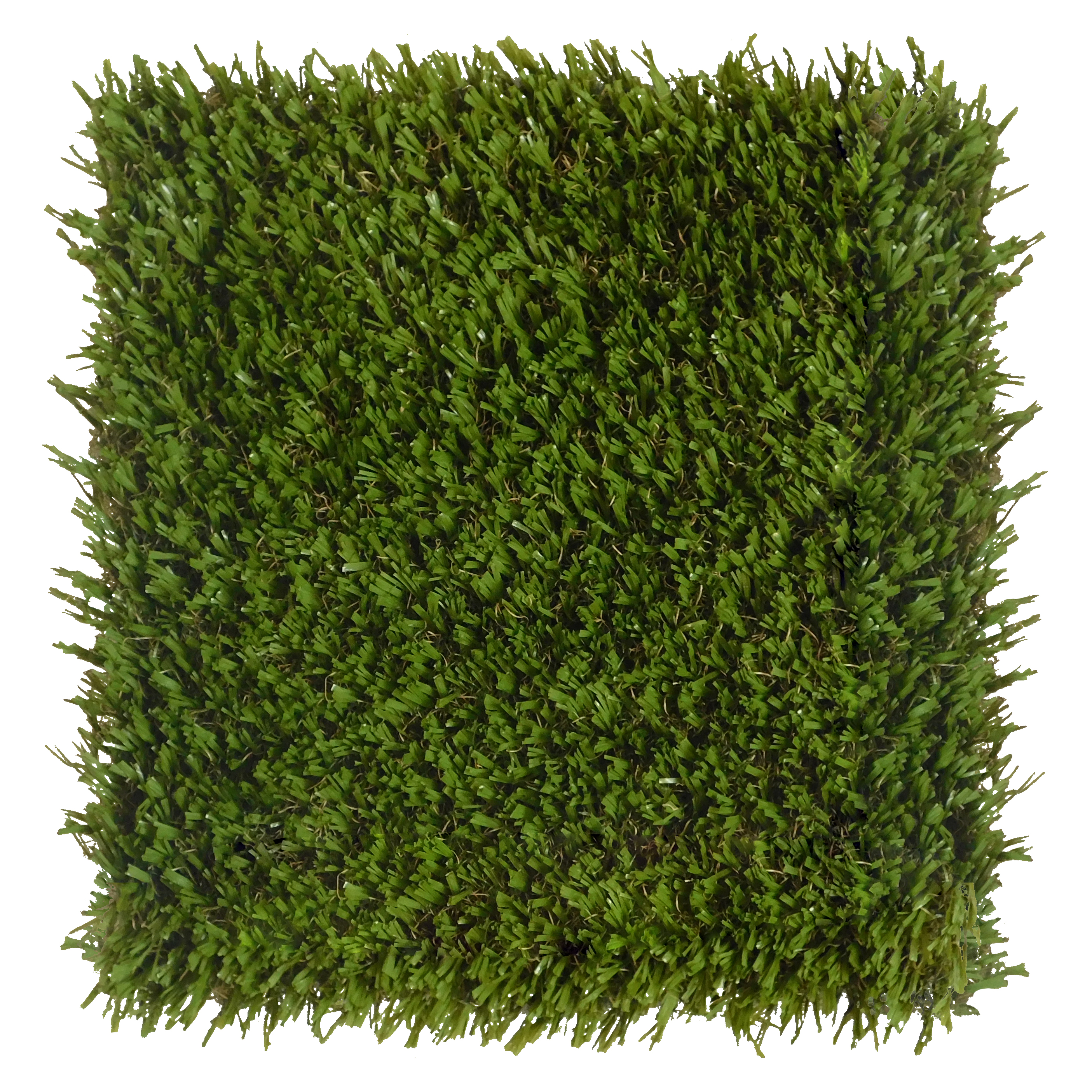 playground-grass-ultra_50699481007_o.jpg