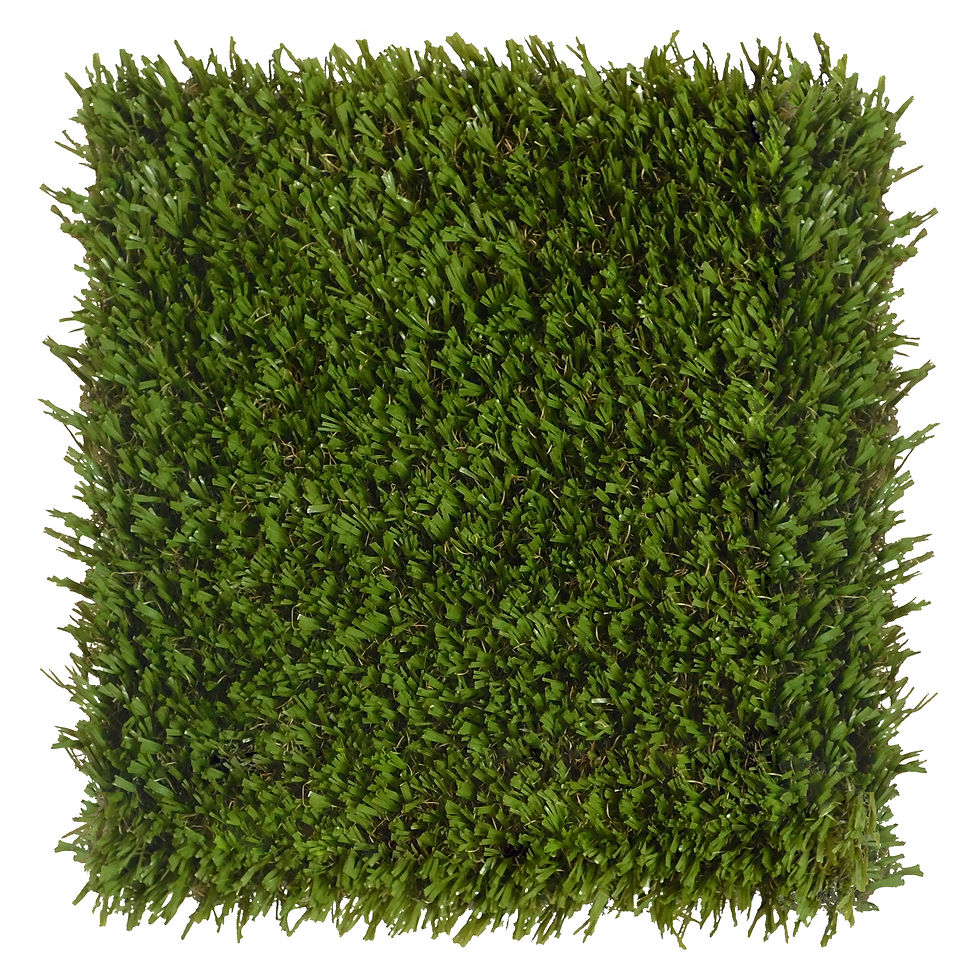 playground-grass-ultra_50699481007_o.jpg
