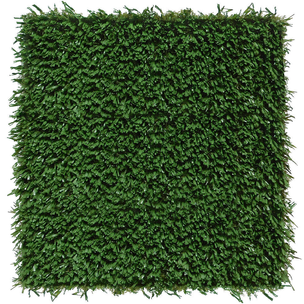 sportsgrass-arena_50172728038_o.jpg