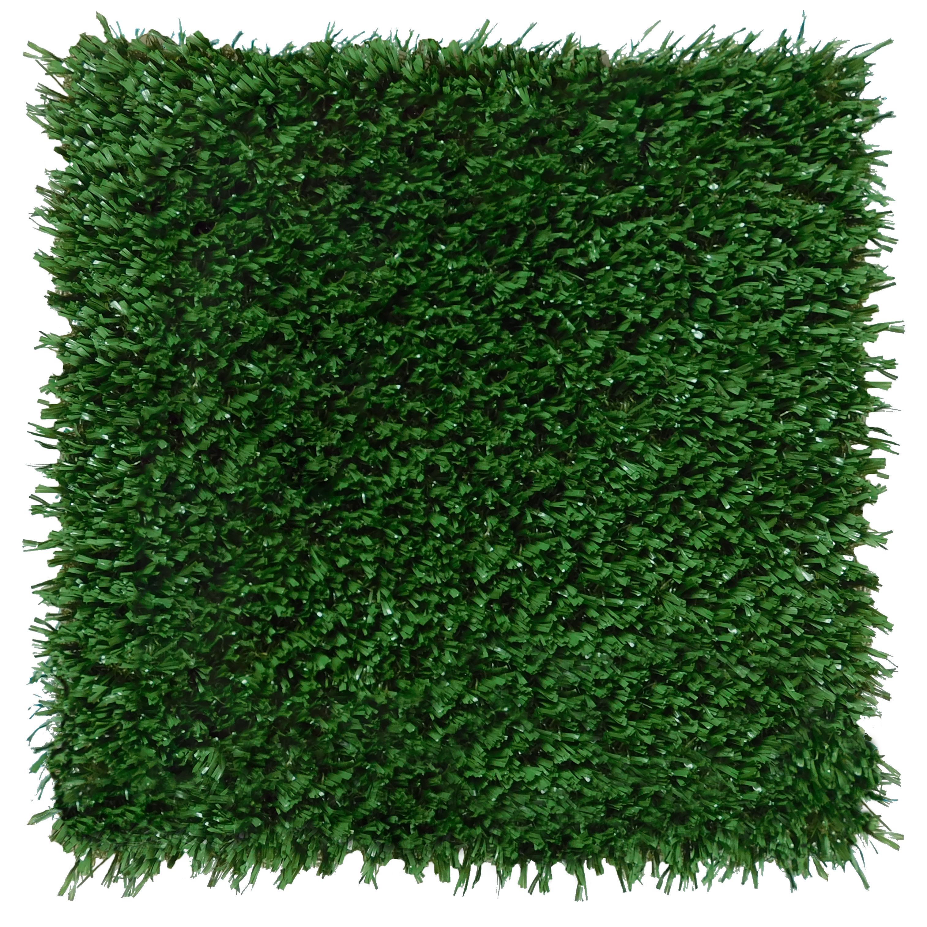 playground-grass-discovery_50173528637_o.jpg