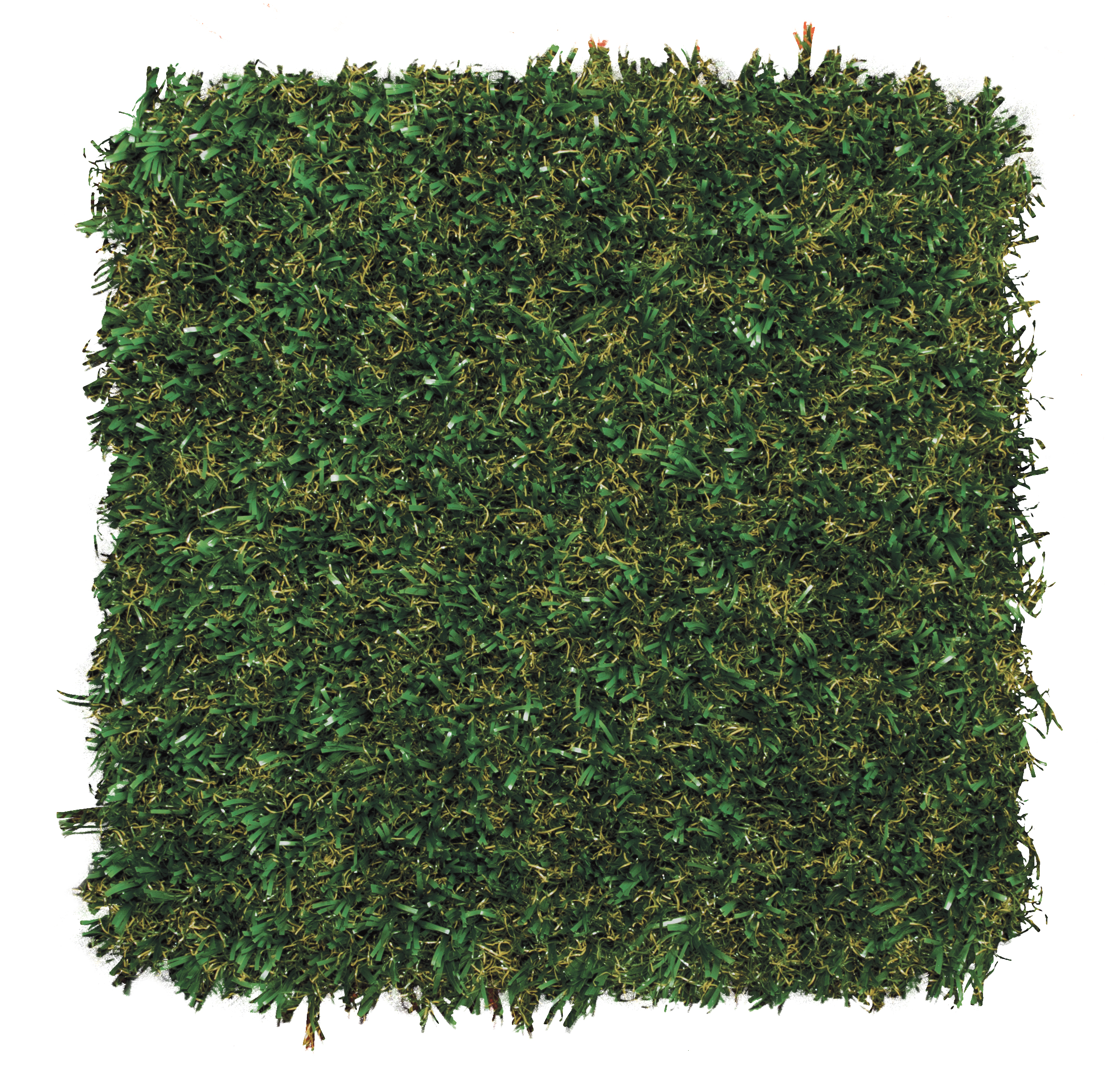 playground-grass-academy_6918357539_o.jpg