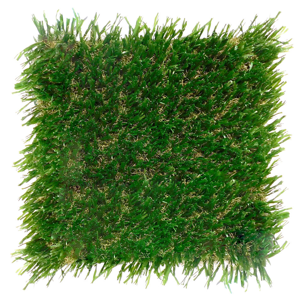 sportsgrass-rush-pro_50771862487_o.jpg