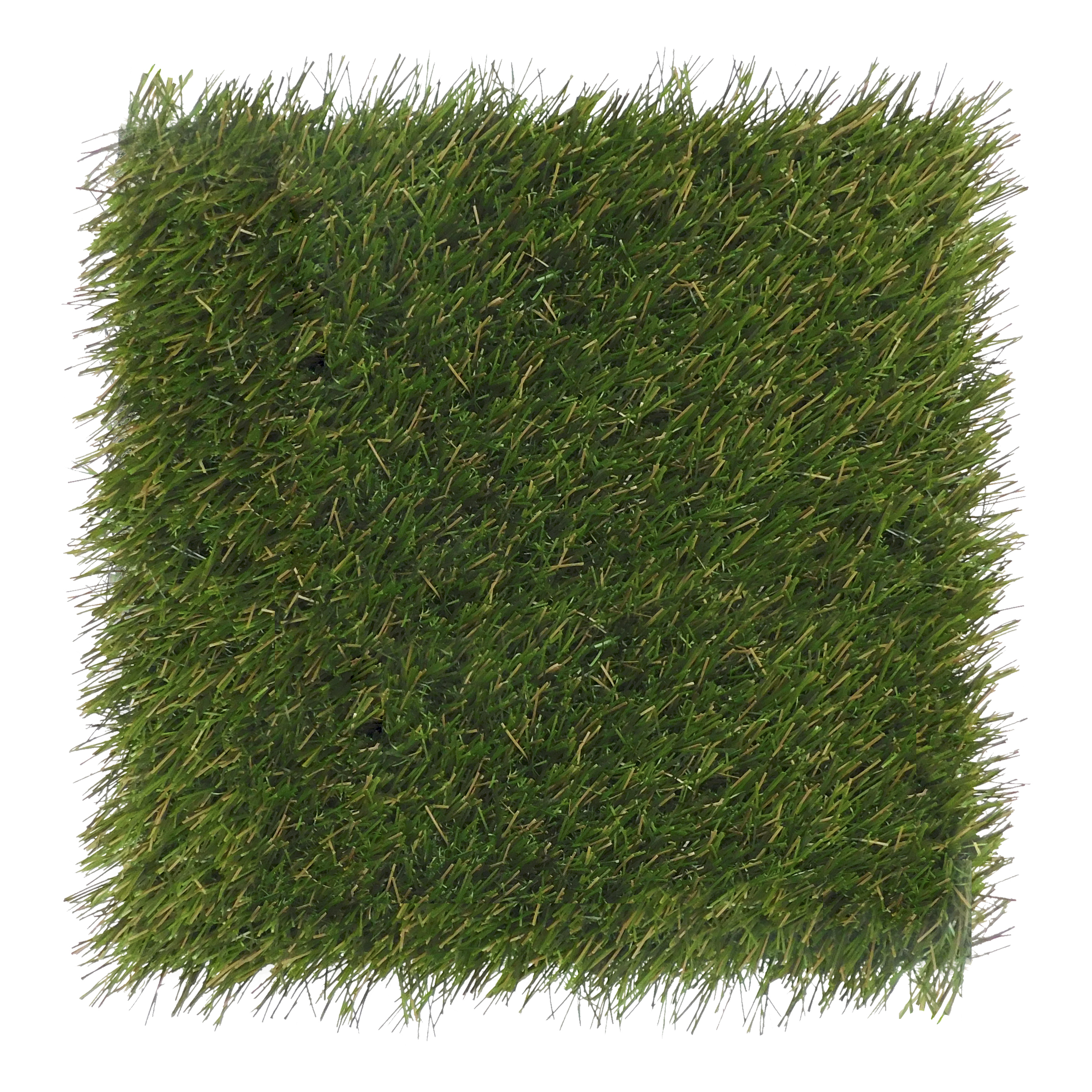 foreverlawn-fusion-pro_50771862117_o.jpg