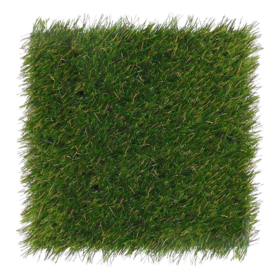 foreverlawn-fusion-pro_50771862117_o.jpg