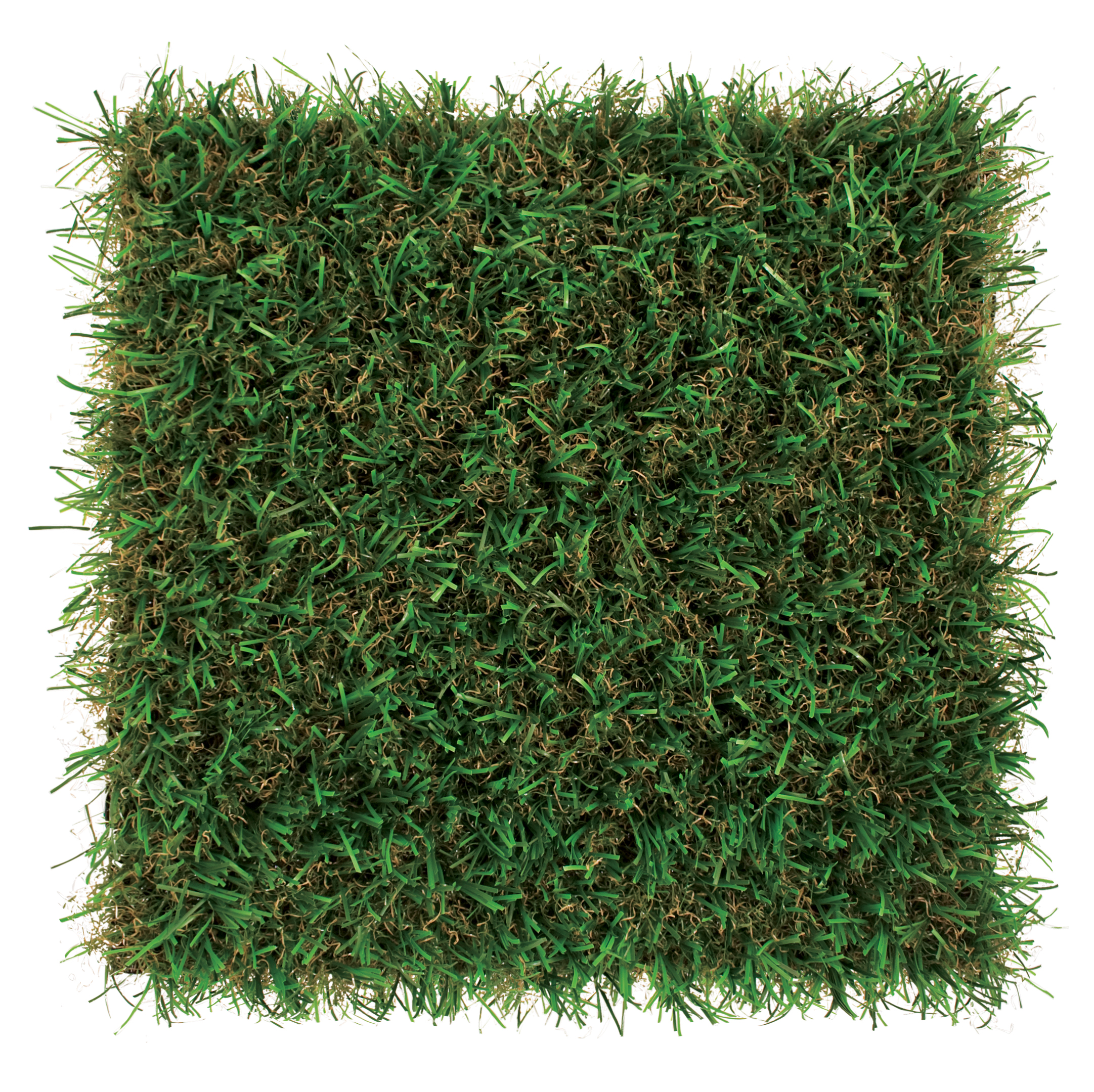 foreverlawn-select-hd_6918529887_o.jpg