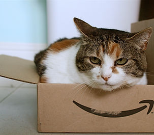 cat with amazon box.jpg