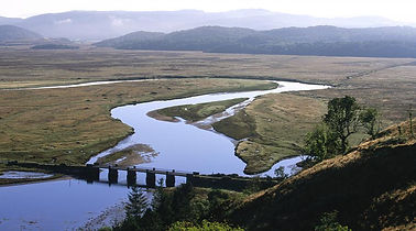Argyll.jpeg