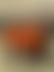 LA Dragons beim Basketballturnier 