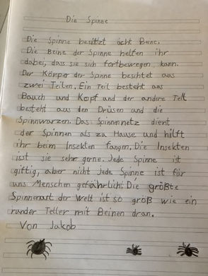 Der Spinnentag der Klasse 3c