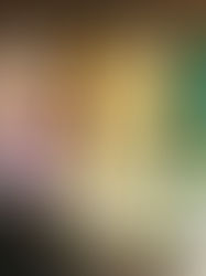 Nachhaltig in die Zukunft