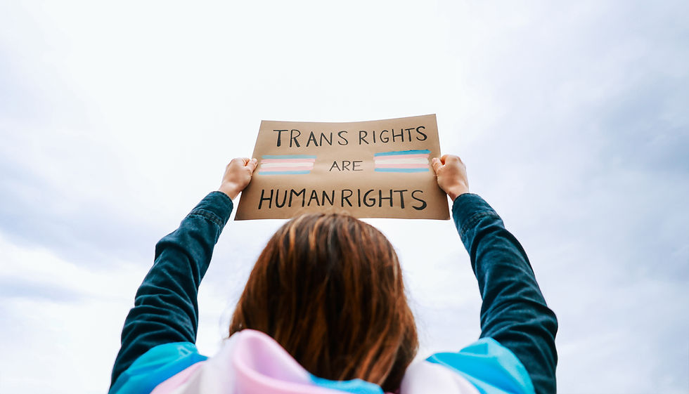 A person holds up a sign saying "Trans rights are human rights" against a cloudy sky, wearing a trans flag. The mood is empowering.