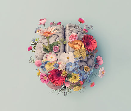 AdobeStock_765750992.jpeg