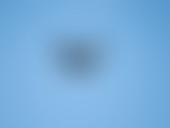 First Eagle Siting on the Farm