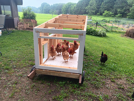 Coop Update