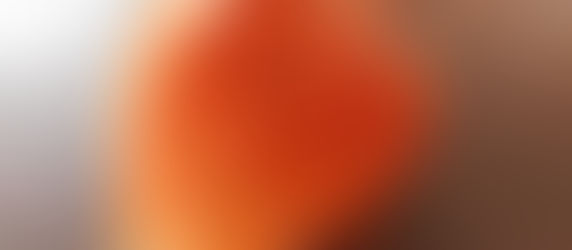 Japanese Lantern Plant