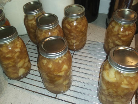 Five Hours Later... 7 Quarts of Sweet Apples