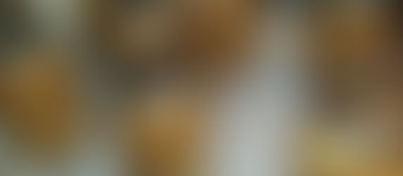 Five Hours Later... 7 Quarts of Sweet Apples