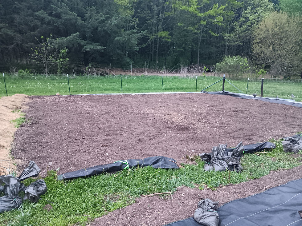 Freshly Tilled Soil
