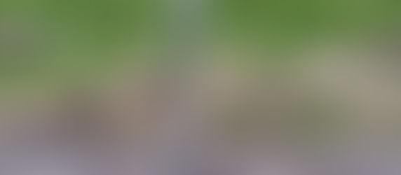 In Need of April Showers