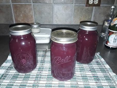 Food Preservation Roundup