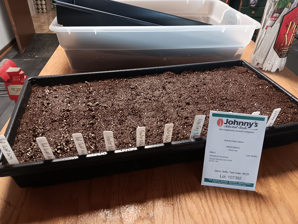 First 2026 Seeds Sown