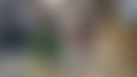 Correcting Course with New Pullet Introduction to Existing Flock