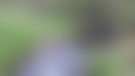 Fishing Story 2020, Part One