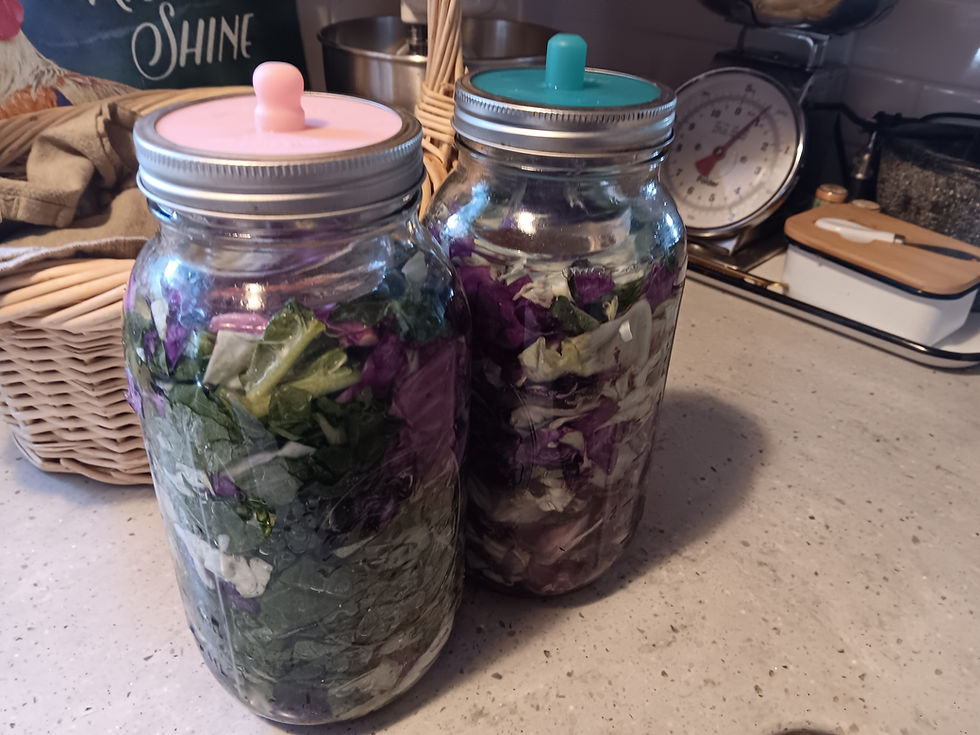 Last Ferment Of The Season?