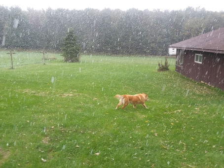 October Snow - Winter's Coming