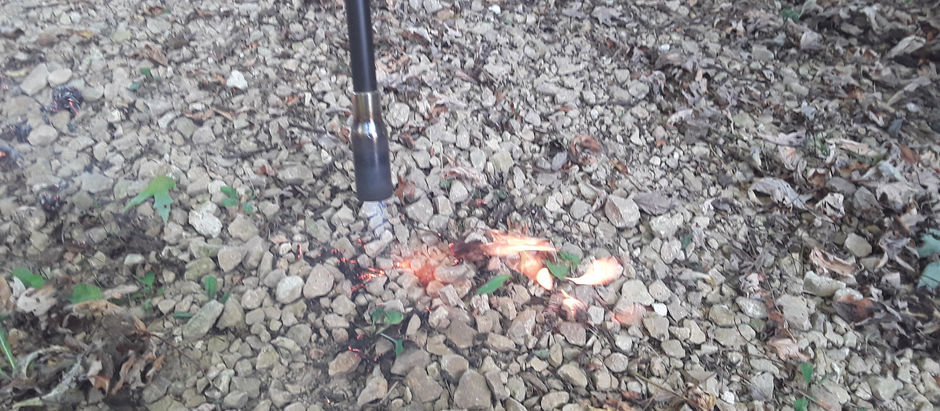 It’s War!  Gravel Driveway Weeds and Advice from an Amish Gentleman