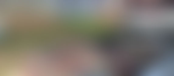 Planting our Orchard...on the Hottest Day of the Year