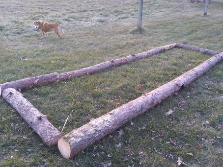 The Beginnings of a Sample Raised Bed from Fallen Pines