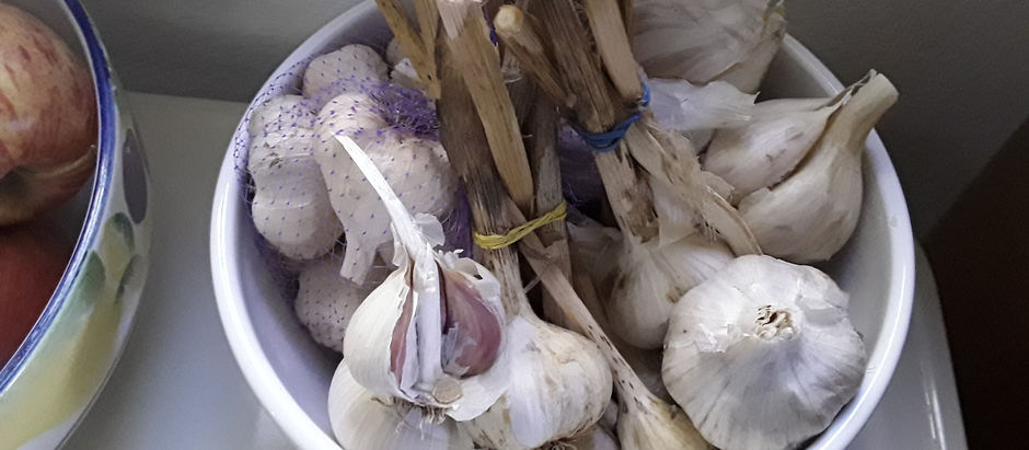 Will be Planting Garlic at the End of September / Beginning of October