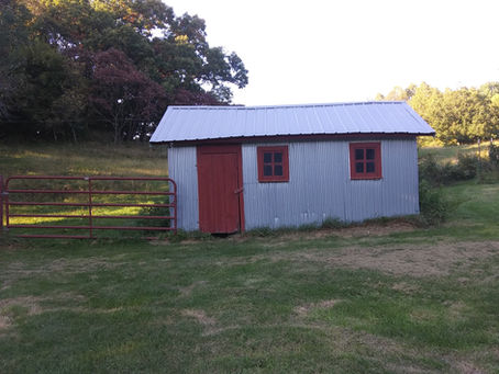 Repurposing an Old Outbuilding for Chickens