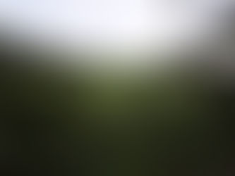 Hay Bale Time of the Year