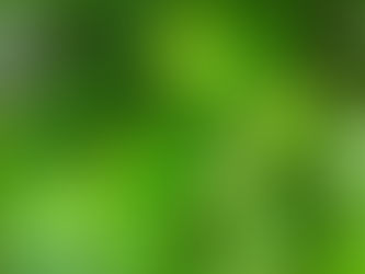 A Good Sign We Might Get Grapes This Year