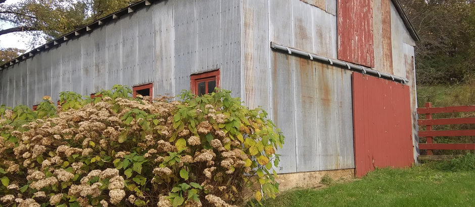 New Metal Roofs for the Outbuildings - Coming Soon