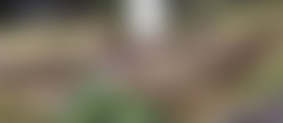 Excited to get Manure for Garden