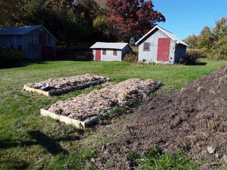 Getting a Jump on the 2021 Garden