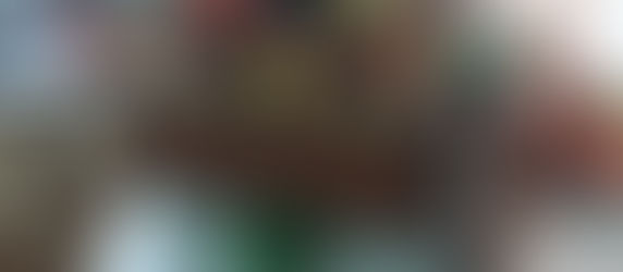 August Garden Report