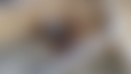 9 Week Old Pullets Successfully Introduced to Existing Flock - Whew!