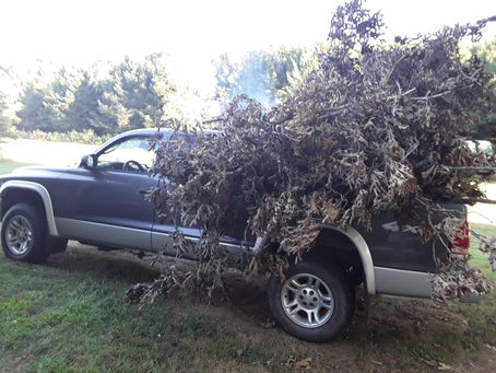 Meet Our New "Work Horse"