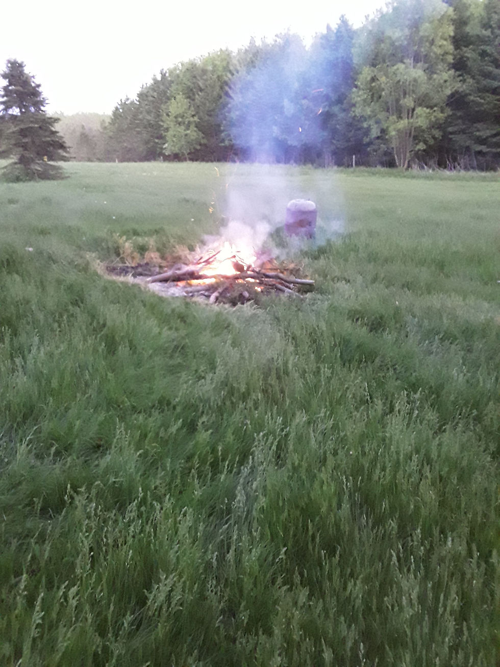 Bonfire Early Evening in a Field Near Burn Barrel